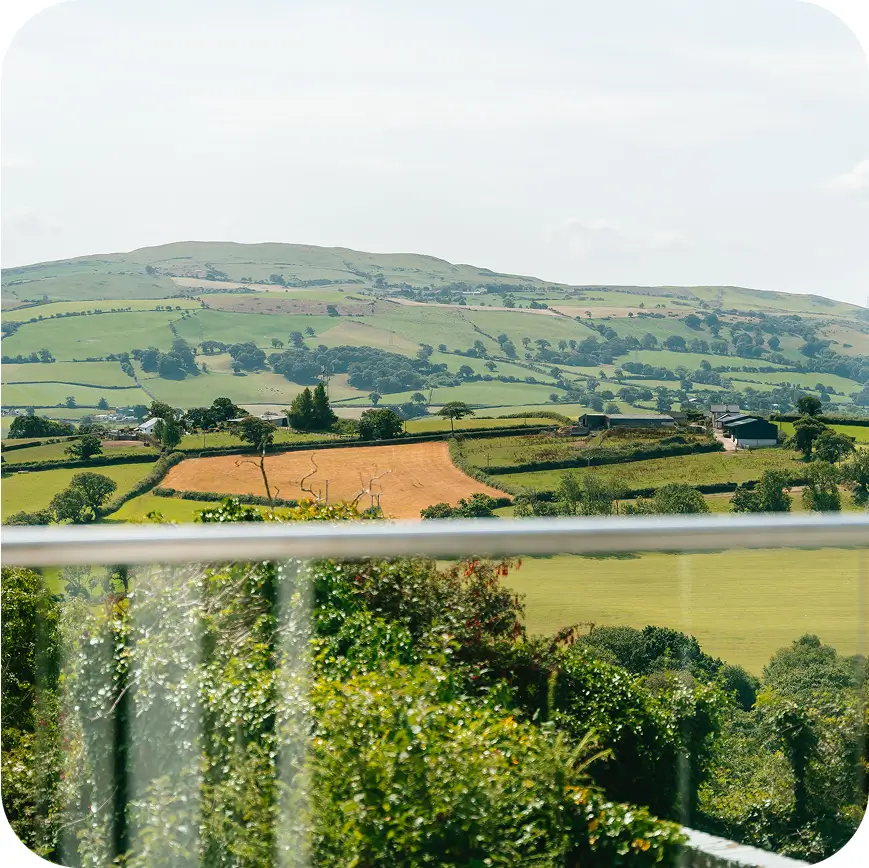 bryn image 4