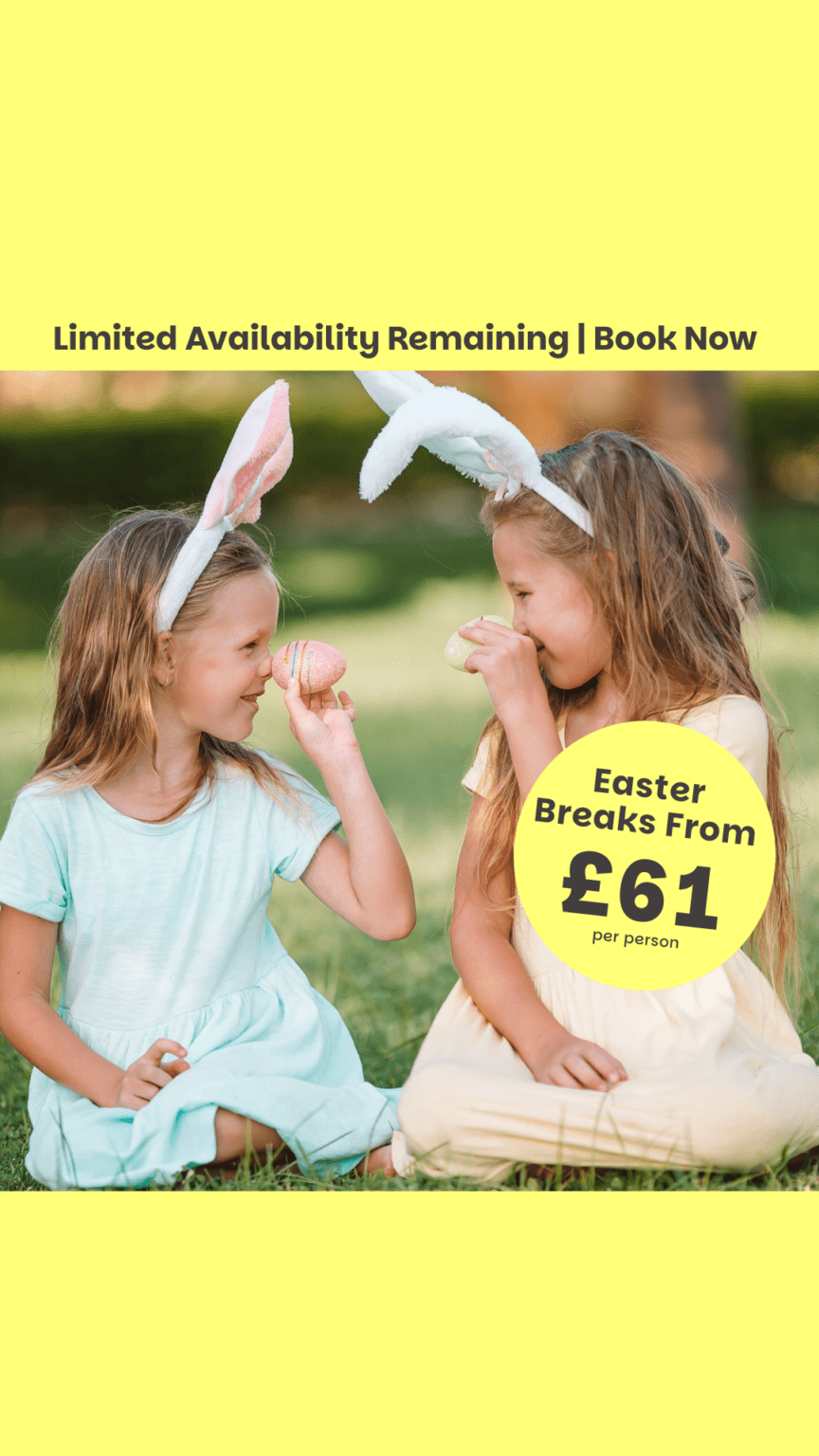 boxing day sale! (46)