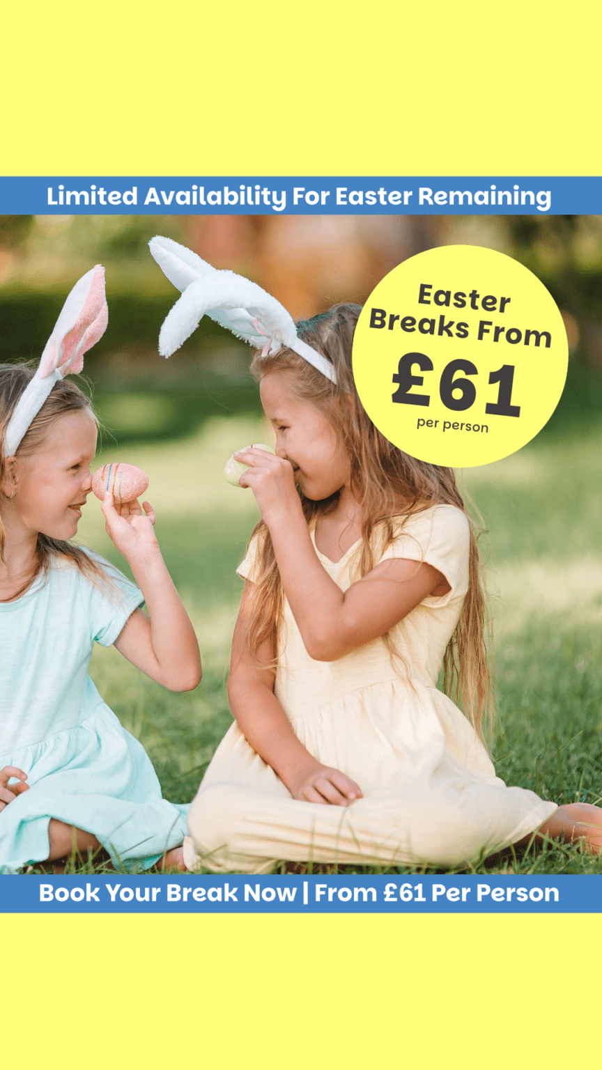 boxing day sale! (46)