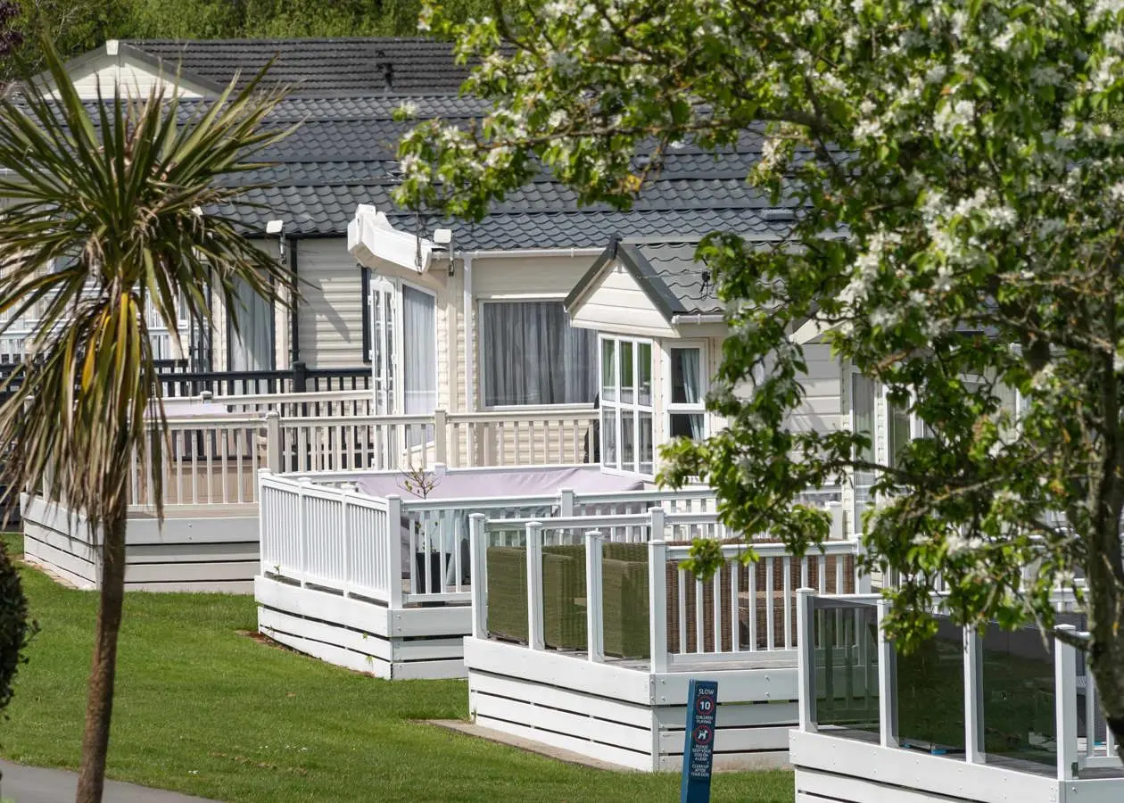 crugan caravans among trees 1