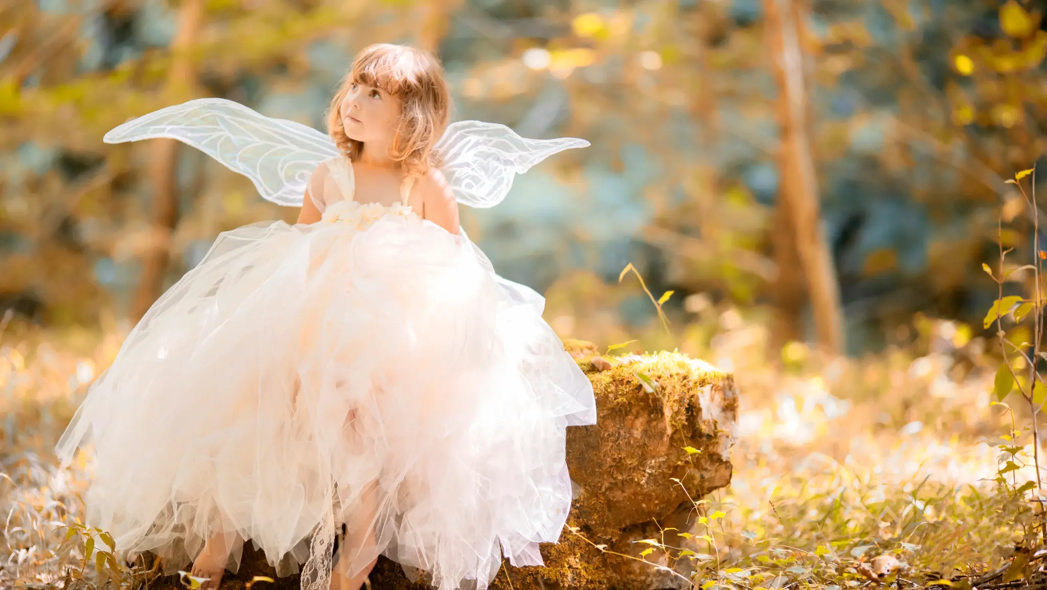 Fairytale Weekend